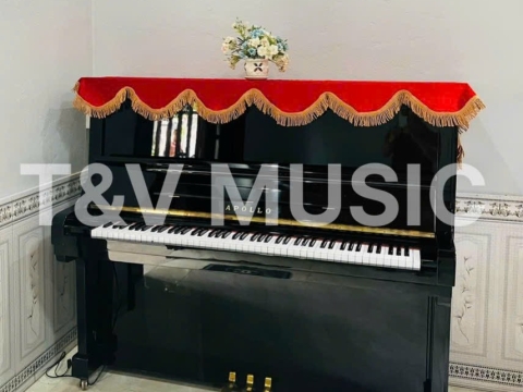 Bộ Sưu Tập Đàn Piano Upgright
