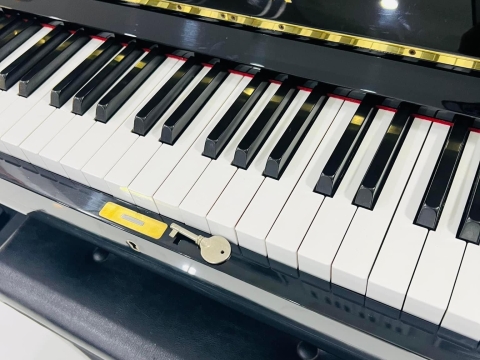 Bộ Sưu Tập Nhà Khách 