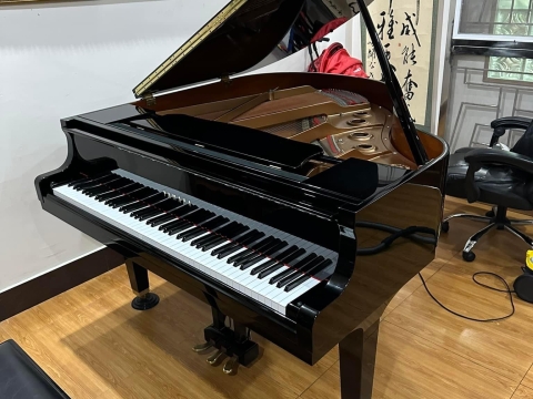 Bộ Sưu Tập Đàn Piano Upgright