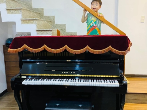 Bộ Sưu Tập Nhà Khách 