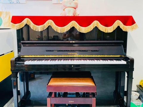 Bộ Sưu Tập Nhà Khách 