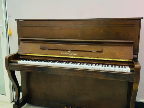 Bộ Sưu Tập Nhà Khách 