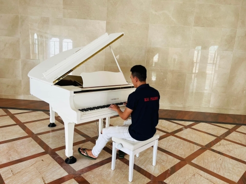 Bộ Sưu Tập Nhà Khách 