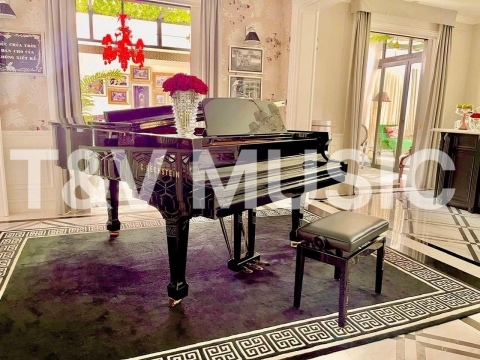 Bộ Sưu Tập Đàn Piano Upgright