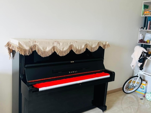 Bộ Sưu Tập Nhà Khách 