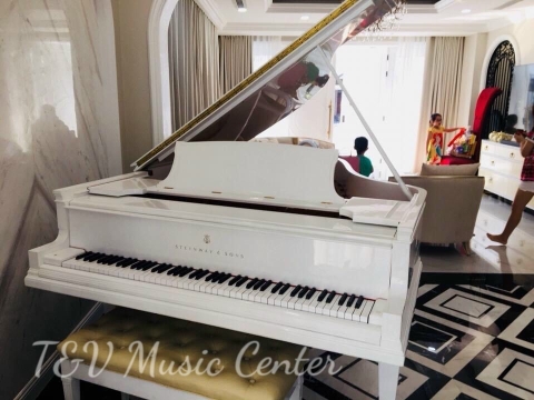 Màu Trắng Tinh Khôi