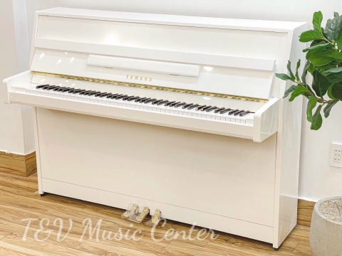 Màu Trắng Tinh Khôi