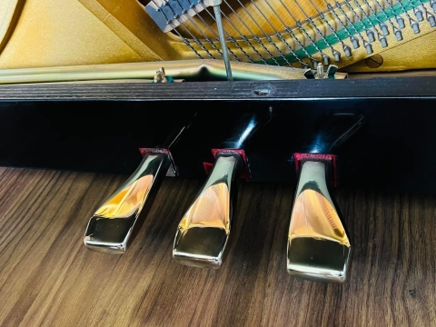 Bộ Sưu Tập Nhà Khách 