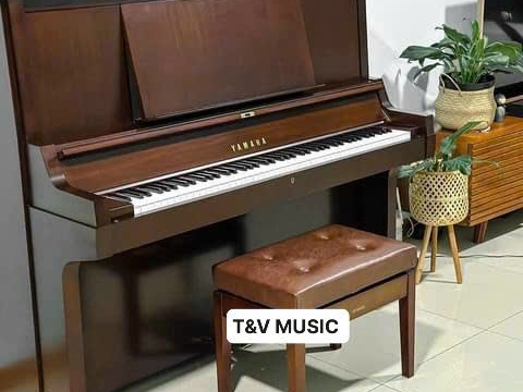 Bộ Sưu Tập Đàn Piano Upgright