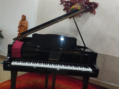 Bộ Sưu Tập Nhà Khách 