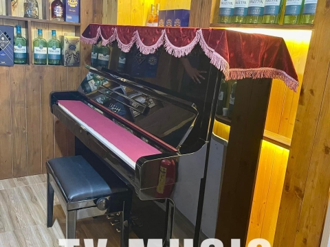 Bộ Sưu Tập Đàn Piano Upgright