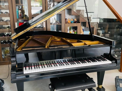 Bộ Sưu Tập Nhà Khách 