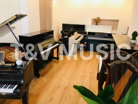 Bộ Sưu Tập Đàn Piano Upgright