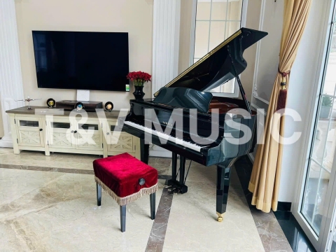 Bộ Sưu Tập Grand-T&V MUSIC 