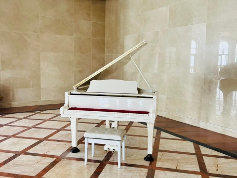 Bộ Sưu Tập Nhà Khách 