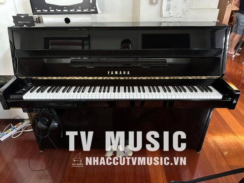 Bộ Sưu Tập Đàn Piano Upgright