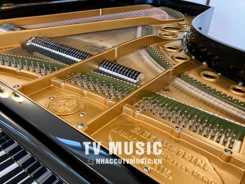 Bộ Sưu Tập Đàn Piano Upgright