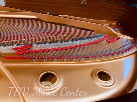Grand Yamaha 100 Years
