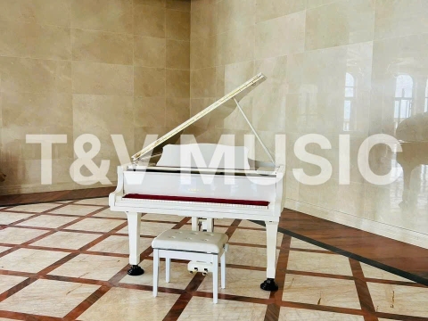 Bộ Sưu Tập Grand-T&V MUSIC 