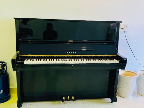 Bộ Sưu Tập Nhà Khách 