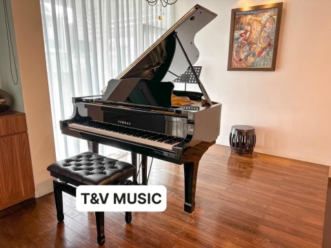 Bộ Sưu Tập Đàn Piano Upgright