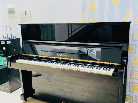 Bộ Sưu Tập Nhà Khách 