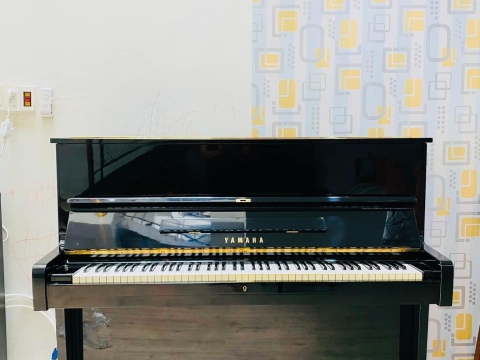 Bộ Sưu Tập Nhà Khách 