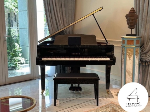 Bộ Sưu Tập Đàn Piano Upgright