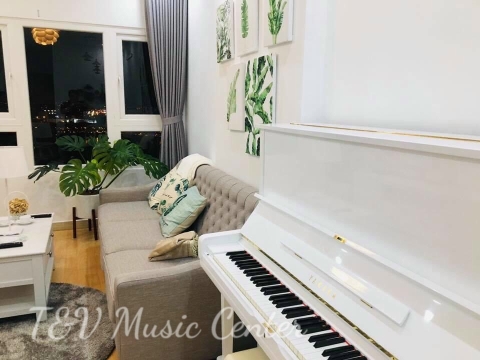 Màu Trắng Tinh Khôi