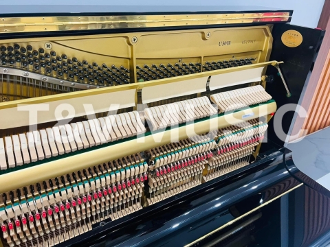 Bộ Sưu Tập Đàn Piano Upgright