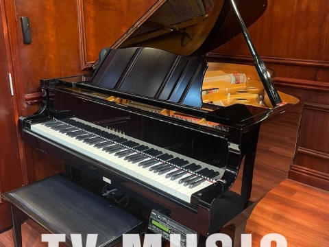 Bộ Sưu Tập Đàn Piano Upgright