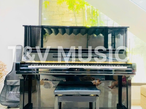 Bộ Sưu Tập Đàn Piano Upgright
