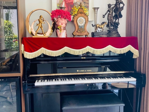 Bộ Sưu Tập Nhà Khách 