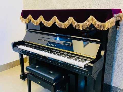 Bộ Sưu Tập Nhà Khách 