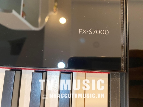 Bộ Sưu Tập Đàn Piano Upgright