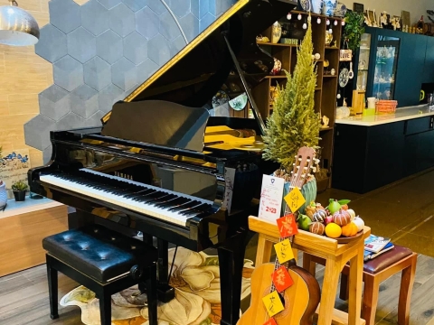 Bộ Sưu Tập Nhà Khách 