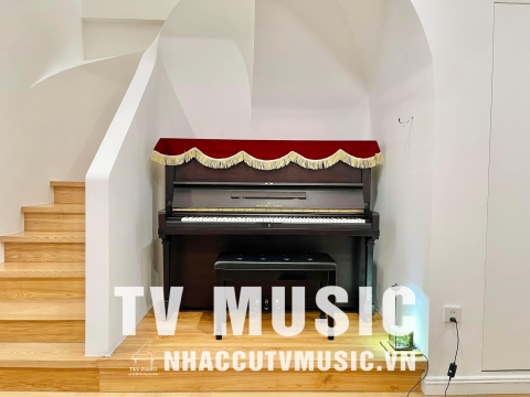 Bộ Sưu Tập Đàn Piano Upgright