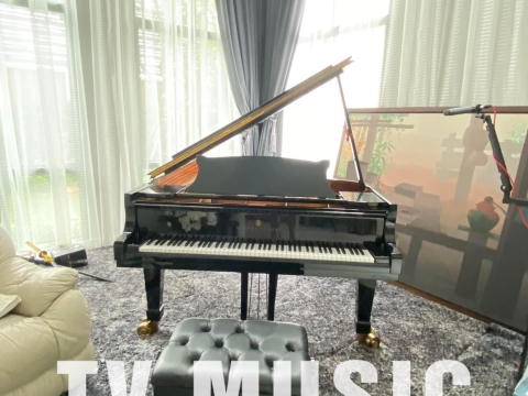 Bộ Sưu Tập Đàn Piano Upgright