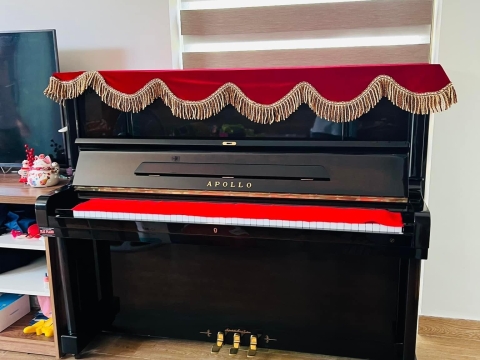 Bộ Sưu Tập Nhà Khách 