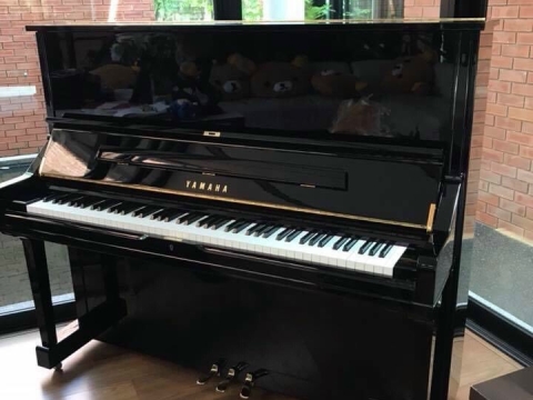 Hình Ảnh Bàn Giao Đàn