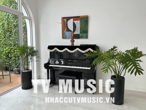 Bộ Sưu Tập Đàn Piano Upgright