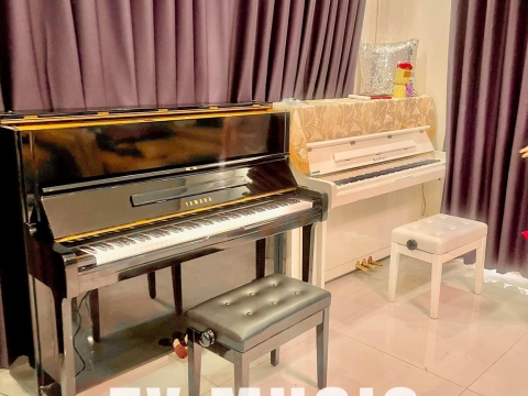 Bộ Sưu Tập Đàn Piano Upgright