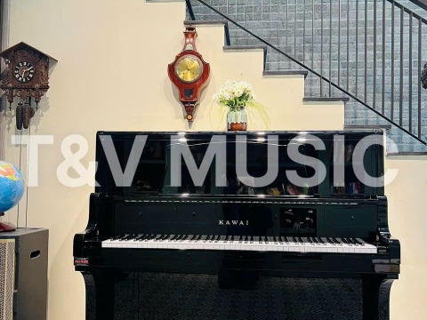 Bộ Sưu Tập Đàn Piano Upgright