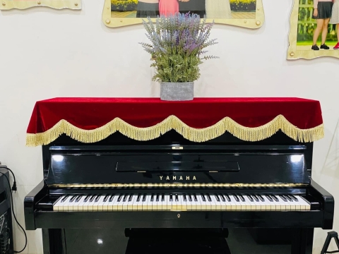 Bộ Sưu Tập Nhà Khách 