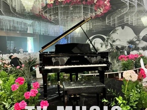 Bộ Sưu Tập Đàn Piano Upgright