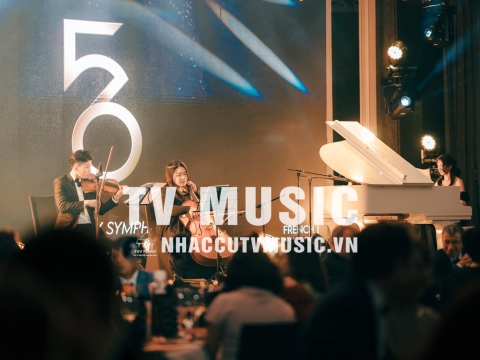 Bộ Sưu Tập Đàn Piano Upgright