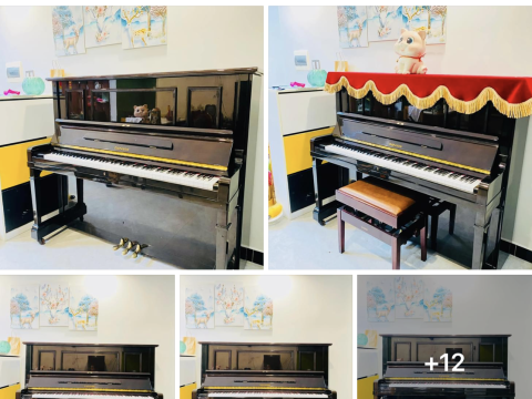 Bộ Sưu Tập Nhà Khách 