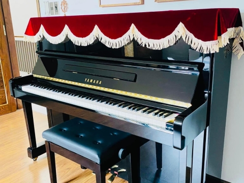 Bộ Sưu Tập Nhà Khách 