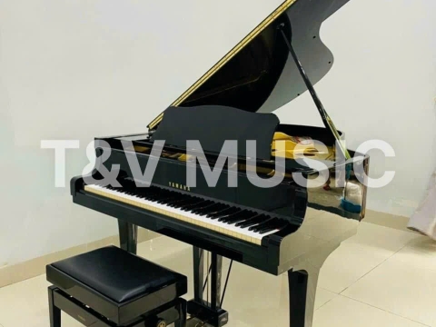 Bộ Sưu Tập Grand-T&V MUSIC 