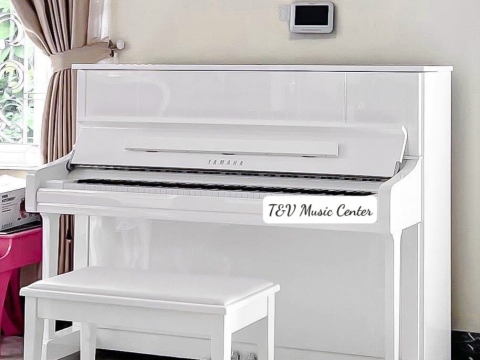 Màu Trắng Tinh Khôi